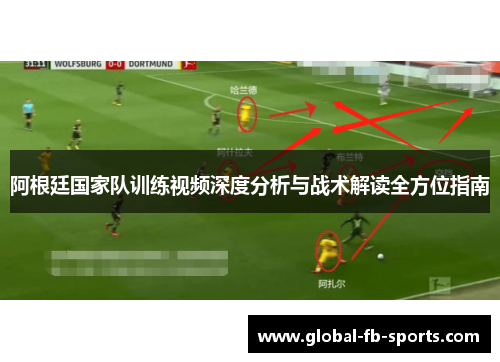 阿根廷国家队训练视频深度分析与战术解读全方位指南