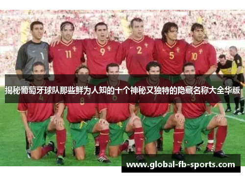 揭秘葡萄牙球队那些鲜为人知的十个神秘又独特的隐藏名称大全华版